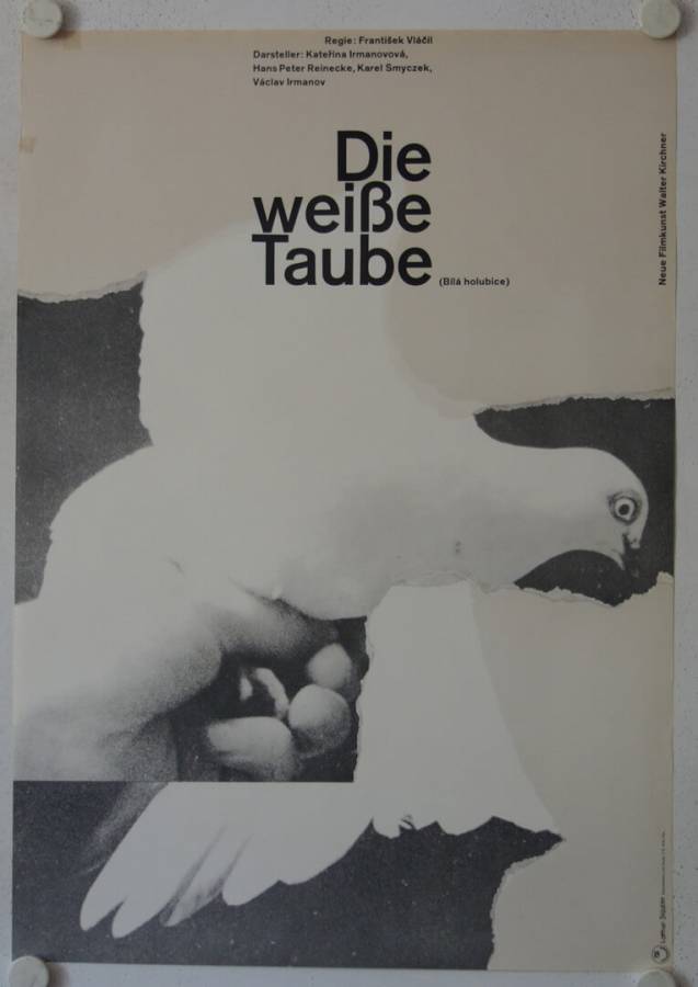 Die weisse Taube originales deutsches Filmplakat